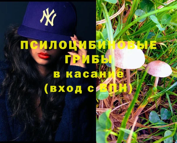 ГАЛЛЮЦИНОГЕННЫЕ ГРИБЫ Баксан