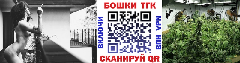 Марихуана конопля Минеральные Воды